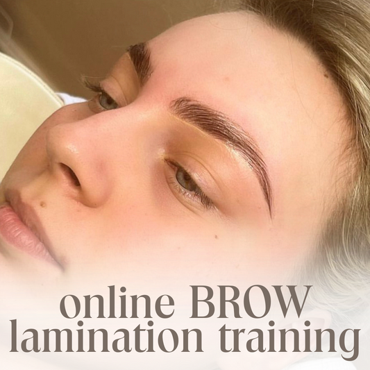 Online Brow Lamination Course